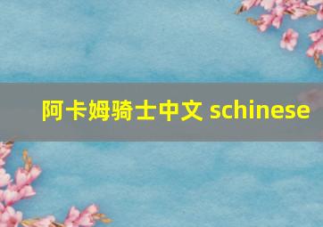 阿卡姆骑士中文 schinese